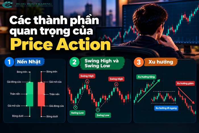 Price Action là gì? Cách đọc hành động giá cho người mới