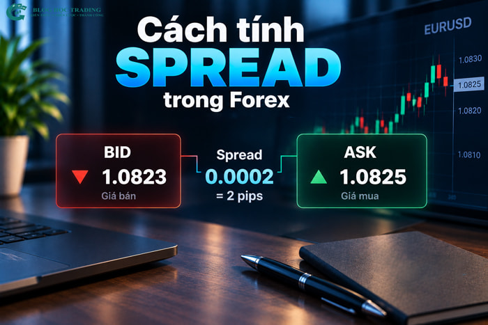 Spread là gì? Cách tính Spread Forex dễ hiểu